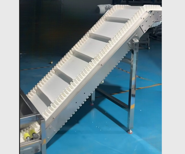Belt Conveyor System